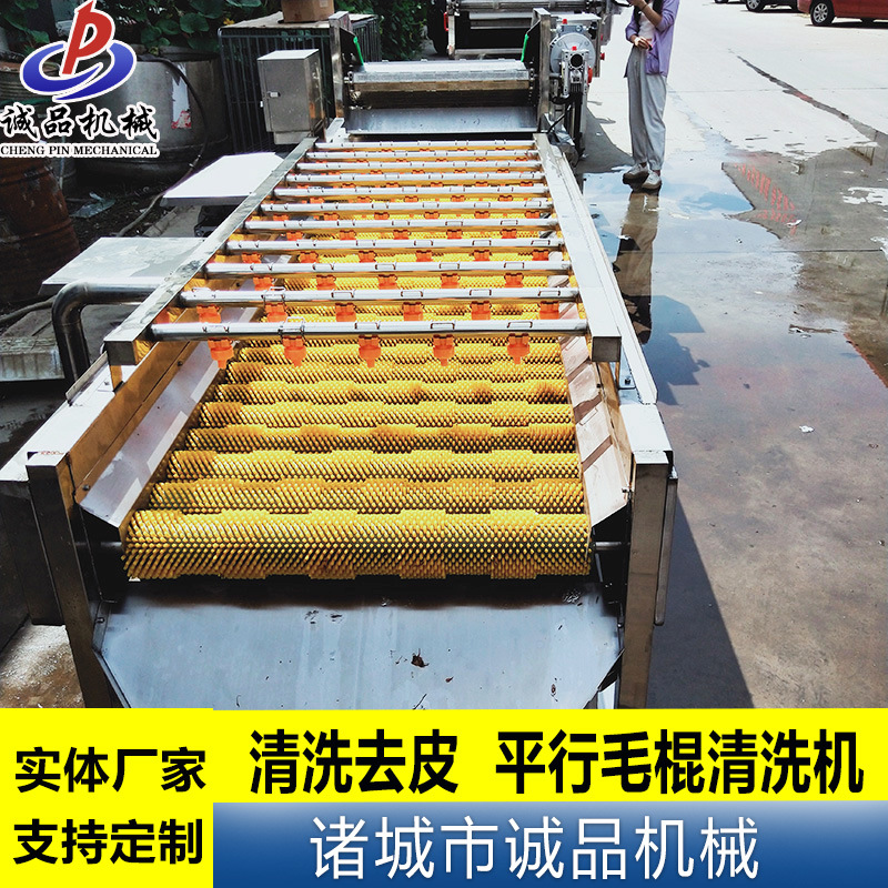 商用红薯清洗机 果蔬加工平行毛辊清洗设备 商用萝卜去泥清洗机