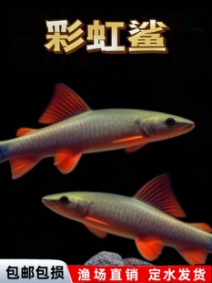 �坍�~��̦���~�Ꭷ�^�p�~��������~�~�׳����~�坍�~���~�����~