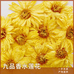 现货批发九品香水莲干花金色香水莲花500克产地货源量大价优
