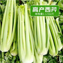 ԭb۷Nļˬ۲˷NӸ߮ą߲˷N