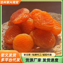 �o���Ӽt�Ӹ��½��Ӹ����T��ʳ�Ǫ������b�o������ܛŴ����t�Ӹ�