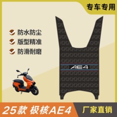 極核AE4足マット電気自動車改造部品専用の厚い防水足マット極核ae4電気摩版足マット