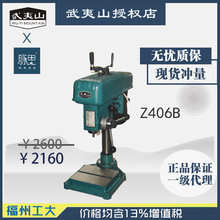 /13%/ݹ̨ ɽ Z406B 12000D}˼