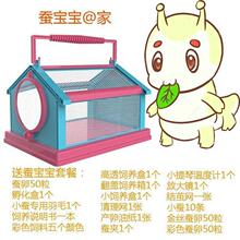 蚕宝宝养育仓小宠DIY别墅学生养蚕套装蚕蛾萤火虫蜗牛蜻蜓蝴蝶笼