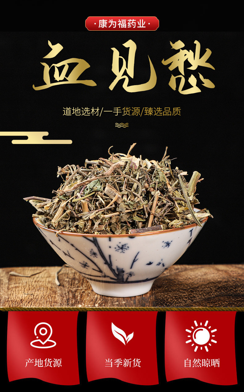 Xue Jian Chou (Acalypha australis) — Dried Iron Acalypha Herb, Food-Use Botanical overview