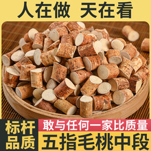 ����Ұ����ָë�Ҹ����߲�������ţ�������ؼ���ș���Ҝ�����צ��