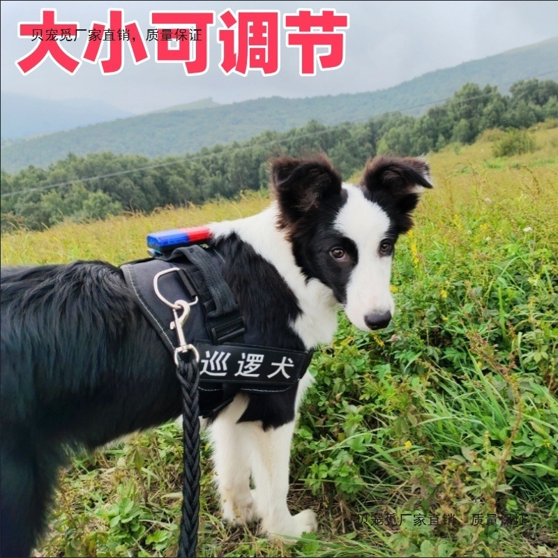 边牧专用牵引绳夜行灯遛狗灯胸背带中大型马犬杜宾德牧晚上发光灯|undefined