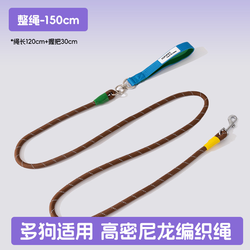 Los perros salen, perros pequeños y medianos, contraste de moda, uno arrastra tres, cuerda de tracción, muchos perros paseando a su perro, cuerda para perros, suministros para perros