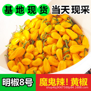 �S������8̖ħ��׃�B�������ڸ���ɳ�hС����߅�r�����r��ժ�r��g