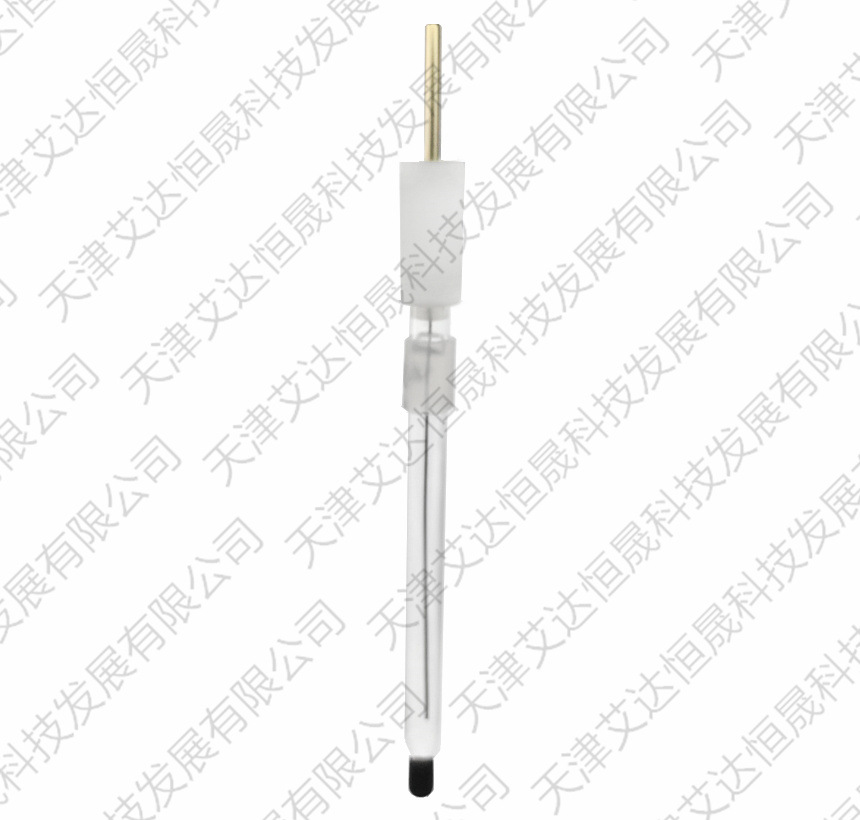 银-氯化银电极 R0303