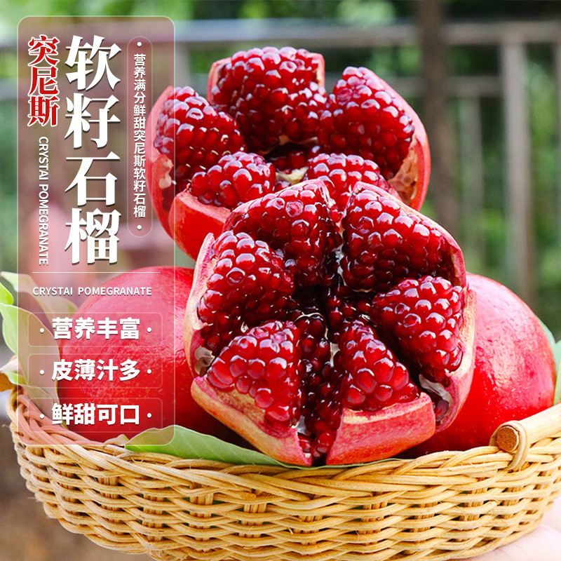 [정품] 튀니지산 부드러운 종자석류 60-80cm 높이 2그루 (생명 보장 없음)