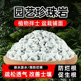 花盆容器;装饰花瓶;碗