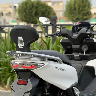 Support, Rear Seat Lumbar Support, Motorcycle tail
