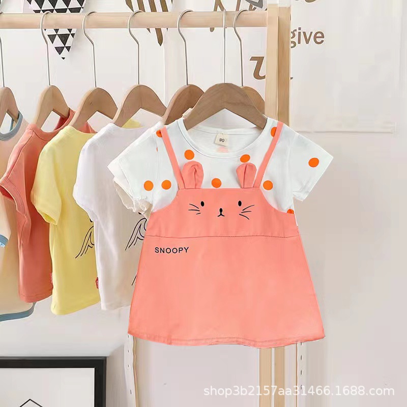 새끼 고양이 오렌지