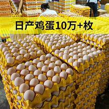 �u�����l��ö�r��ɢ�B�����u�����r�F����l