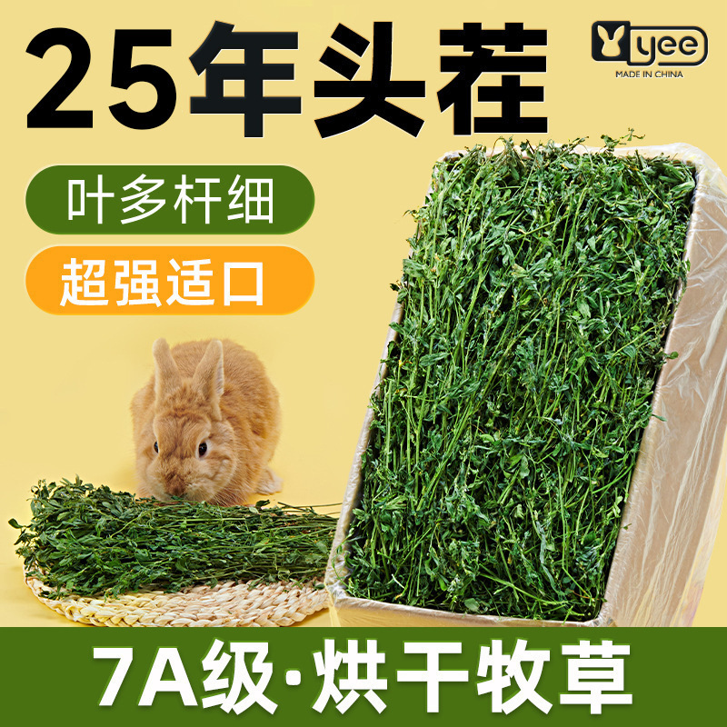 Drying Alfalfa Hay Rabbit Food Grass Young Rabbit Timothy Grass Chinchilla Guinea Pig Edible Grass Supplies