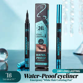 【跨境专供】Tao Beauty 眼线笔顺滑防水防汗亚马逊爆款不易晕染