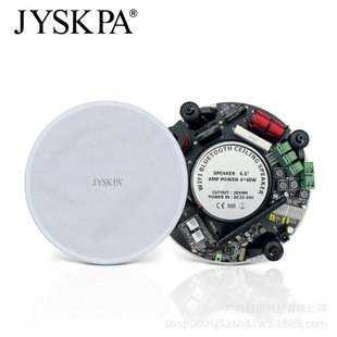 Embedded three dimensional speakers for commercial use, bluetooth, sound system