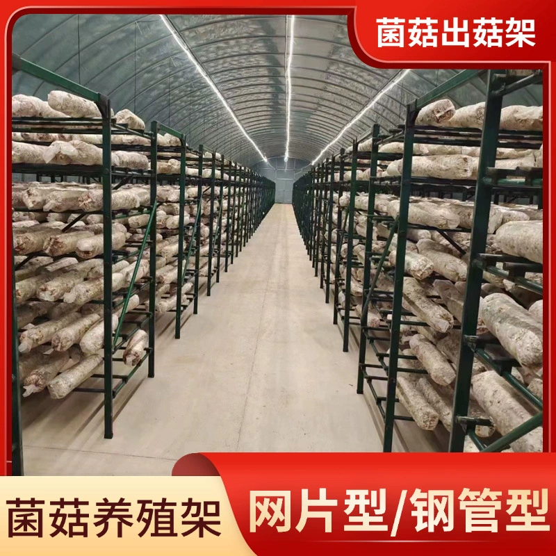 Стойка для грибов Европейская и американская темно-зеленая стойка для грибов с порошковым покрытием, сетка для съедобных грибов, стабильная конструкция, зеленая стойка