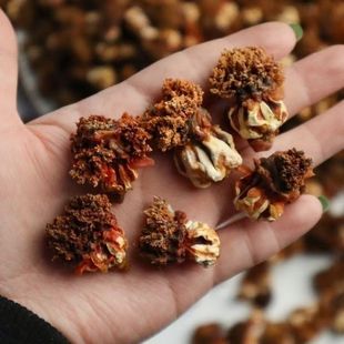 ��������؛���ɺ������K������