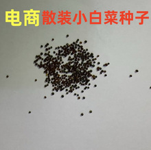 批发电商散装小白菜蔬菜种子四季小青菜小包装阳设计儿童阳台种植