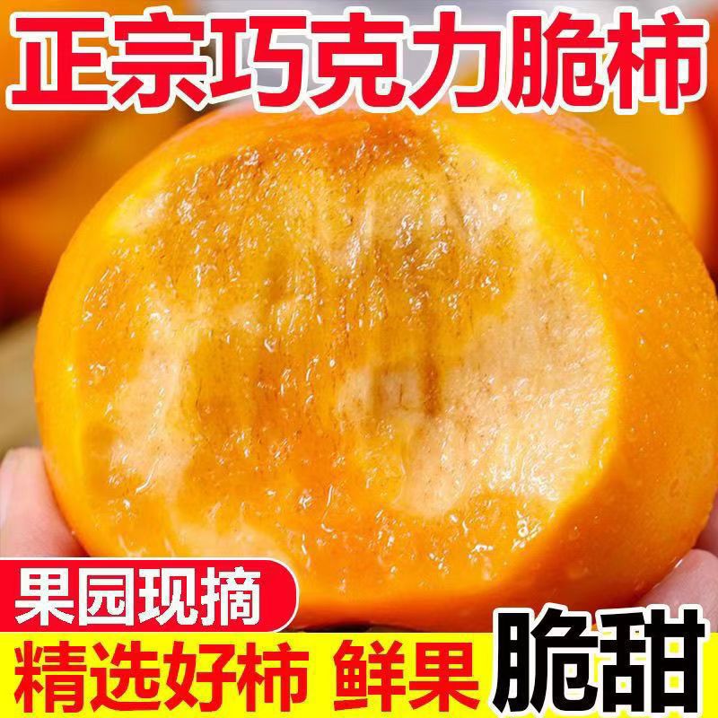 正宗阳丰脆柿脆甜巧克力应季柿子新鲜水果无核冰糖甜柿子整箱批发