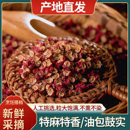 花椒粒正宗四川汉源红花椒食用花椒特麻麻椒粒大红袍麻椒干货批发