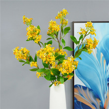 ǧ�����֦����𻨔zӰ�����S���ˇܛ�b�廨�ҾӅ��^�b�����