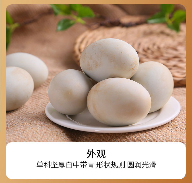 海鴨蛋
