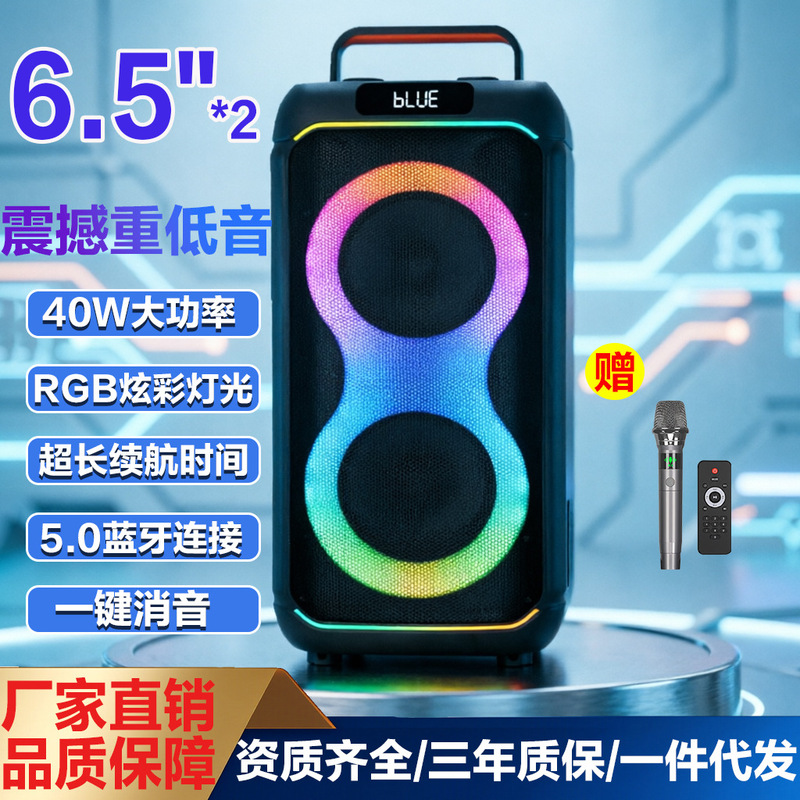 Dual 6.5inch Party Bluetooth Speaker Portable Outdoor Speaker with Microphone Dual 6.5inch Party Bluetooth Speaker Portable Outdoor Speaker with Microphone