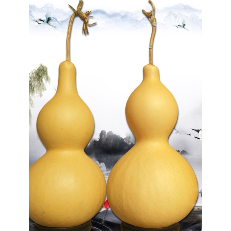 Natural giant gourd with dragon head ornament, extra large, natural, giant size, auspicious feng shui ornament, gourd pendant.