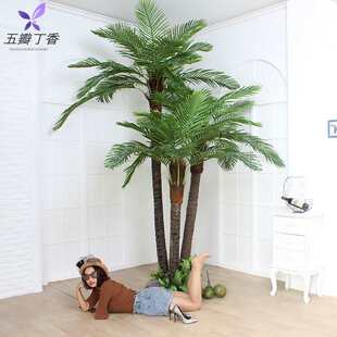����Ҭ�Ә��҃��b��ͷ���ֲ�������̈�������ϾGֲ�٘䙉�Ƙ�