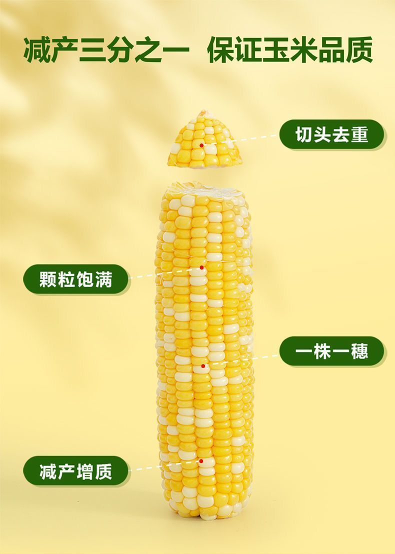 8463f55e-90d4-4abd-855b-7a35f6675f04.jpe