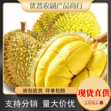 �R�������M��D197؈ɽ����ɏ��������Һ�����؈ɽ����ɏһ�����l