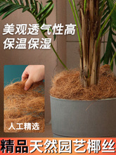 日式天然椰丝铺面花盆土装饰陶粒盆栽棕榈盖面草透气保湿垫底材料