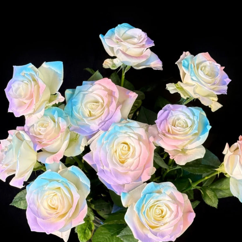 51a35017-cca7-4dbd-93a2-6daf1bff8bf0.jpe