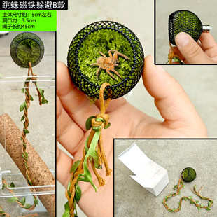 �����܁��������Ә䗫�،mС�ͱڻ��䶴���F��������С�͌����