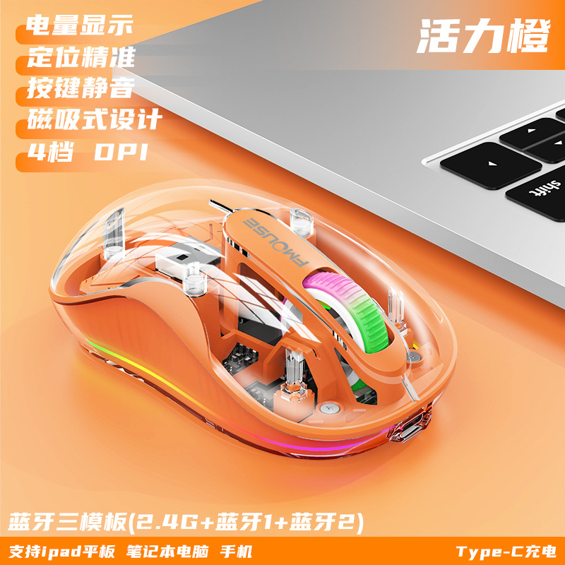 Vibrant Orange-[단일 수신기]