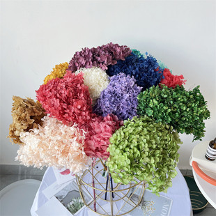 Everlasting Flower Hydrangea Dried Flower Bouquet Light Luxury Home Decoration Living Room Ornaments Everlasting Flower Anna Hydrangea Yunnan Direct Delivery