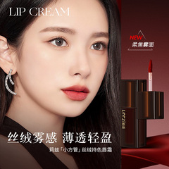 Leezi莉茲小方管絲絨持色唇霜霧面啞光顯白不沾杯持久唇粉霜批發