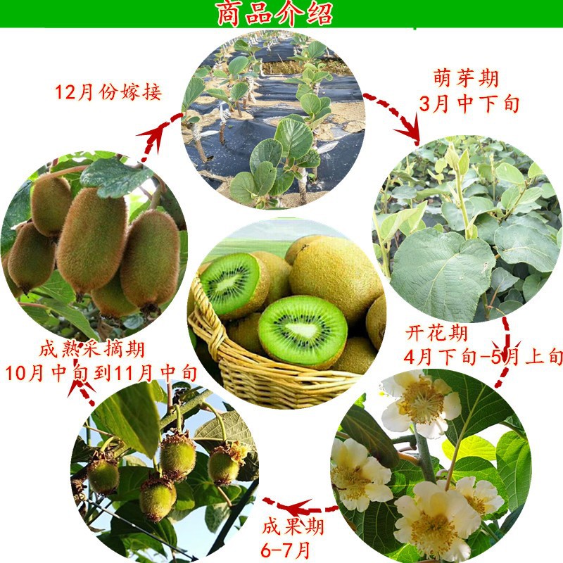 gm6Wj/KhytS4s84XTF4hjIj3ghnGDO3Exo5p