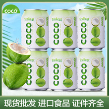 越南进口椰子水COCO100%纯椰子水无添加椰青水240ml罐装整箱