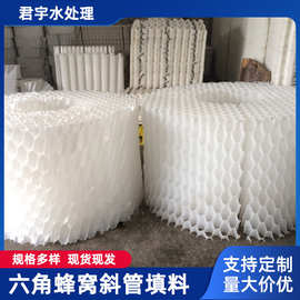 厂家批发六角蜂窝斜管沉淀池生物填料 立体弹性填料冷却塔填料