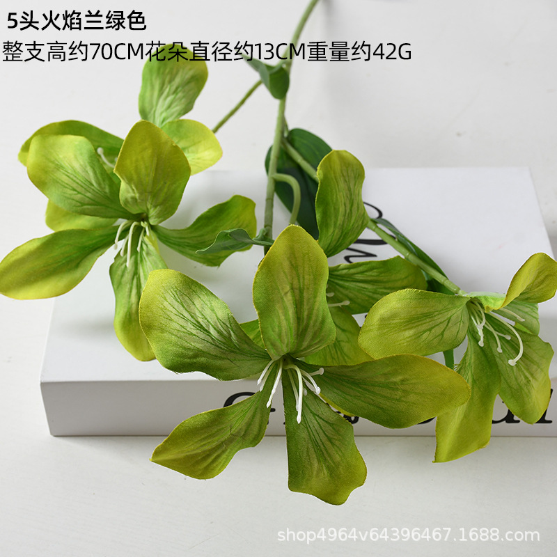 5 헤드 플레임 블루 그린