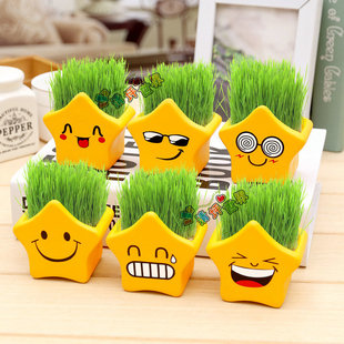 Creative Cool Expression Star Potted Office Desktop Ornaments Plant Student Science and Education Observation Mini Small Potted Plant