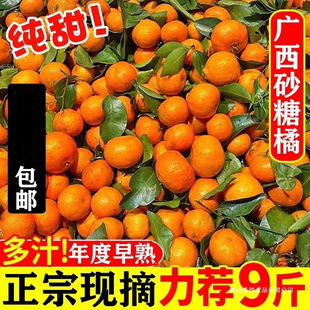 ���ڏV��ɰ����10�����rˮ�������������Ӿ�Ʒ�o��Сɳ�ǽ��Ӱ��]