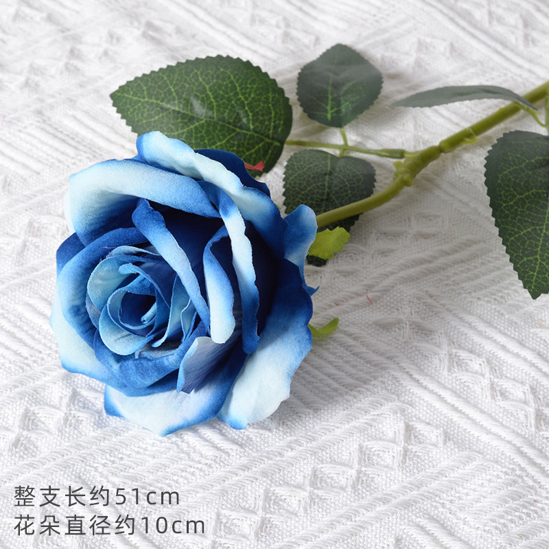 Large velvet blue