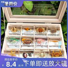 �挍������˱����~�Ǟ������r���\С���r�ľ�з�з�����~��̫��