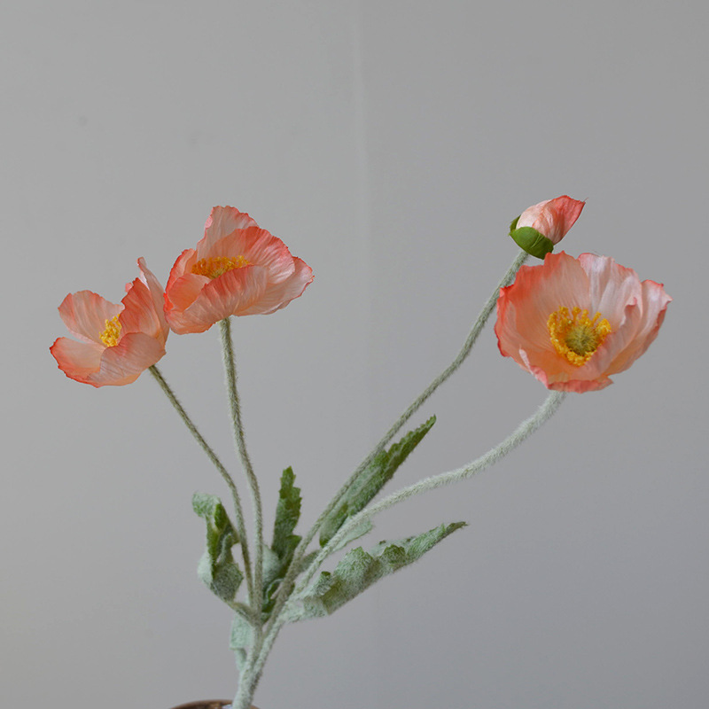 라이트 코랄 핑크