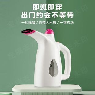 Handheld Garment Steamer Steam Iron Mini Ironing Machine Small Portable Ironing Machine Iron Home Free Shipping